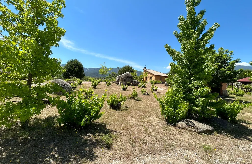 AlohaCamp accommodation Rural Las Viñas Casa Ocre 2