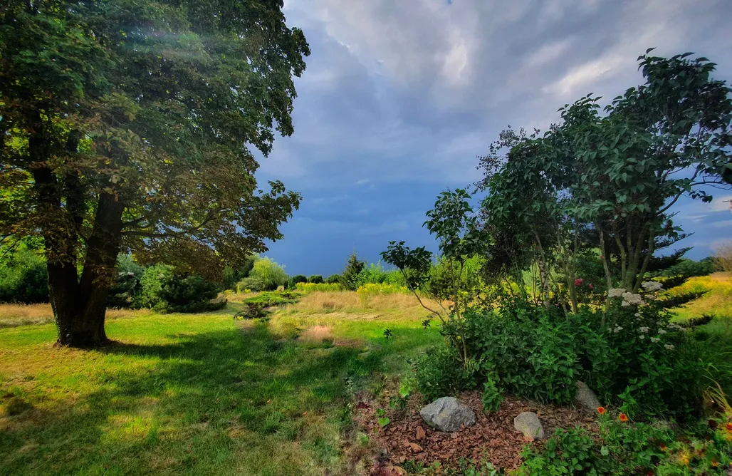 AlohaCamp Zagroda Konik Polny  1