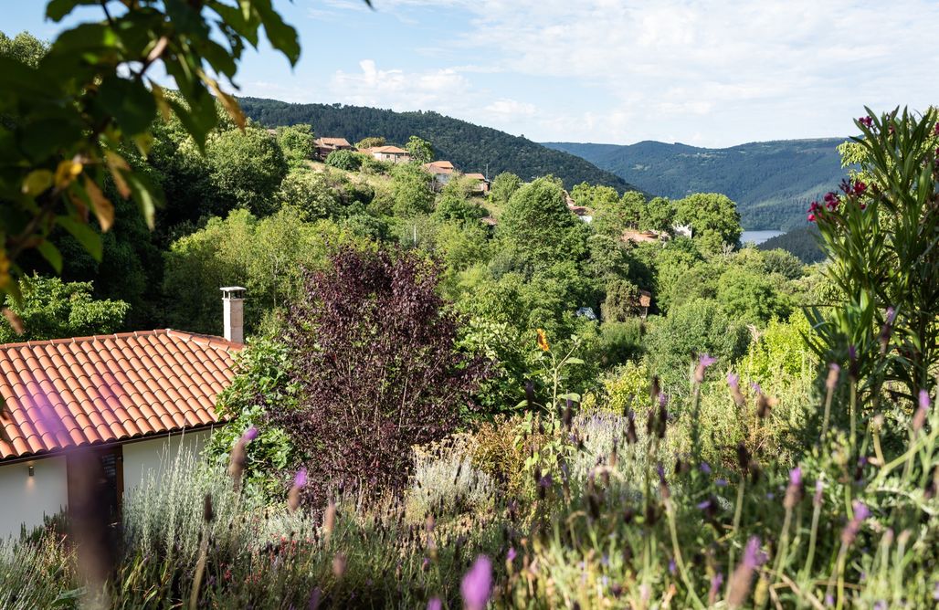 AlohaCamp Cova's Paradise 1