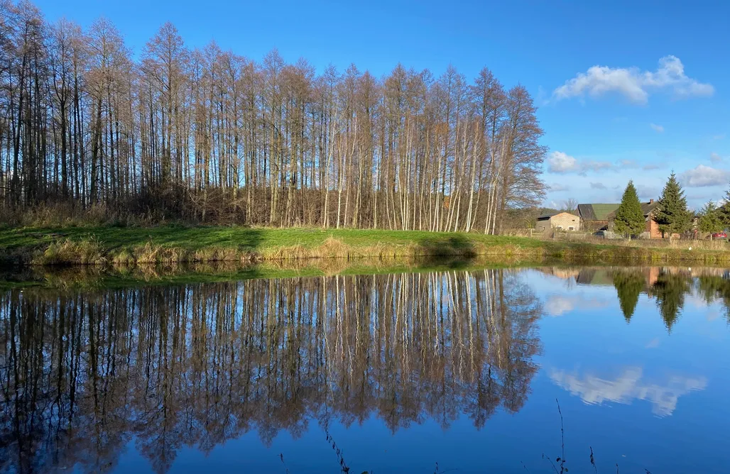 Jodłowiec Domki Modrzewiowy Dworek Kliczków Mały 3