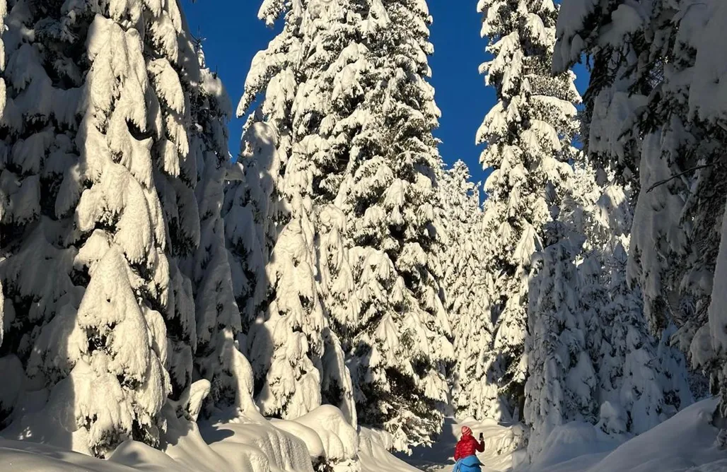 Haus im Wald AlohaCamp