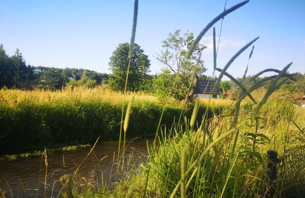 AlohaCamp accommodation Domki Dolina Roztocza  1