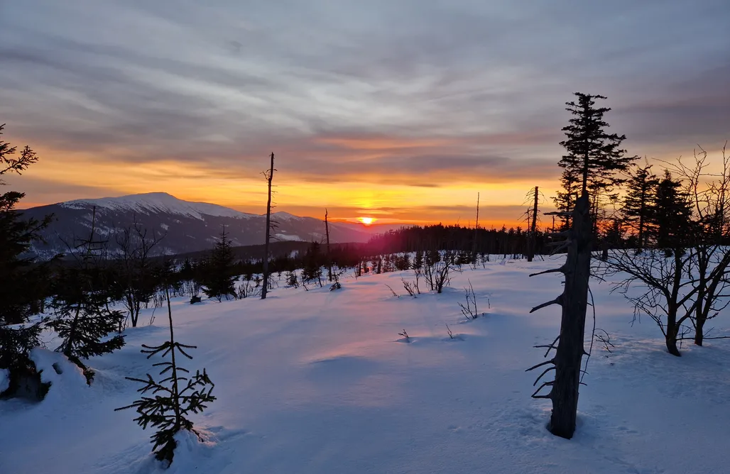 AlohaCamp Domek w Bukach  1