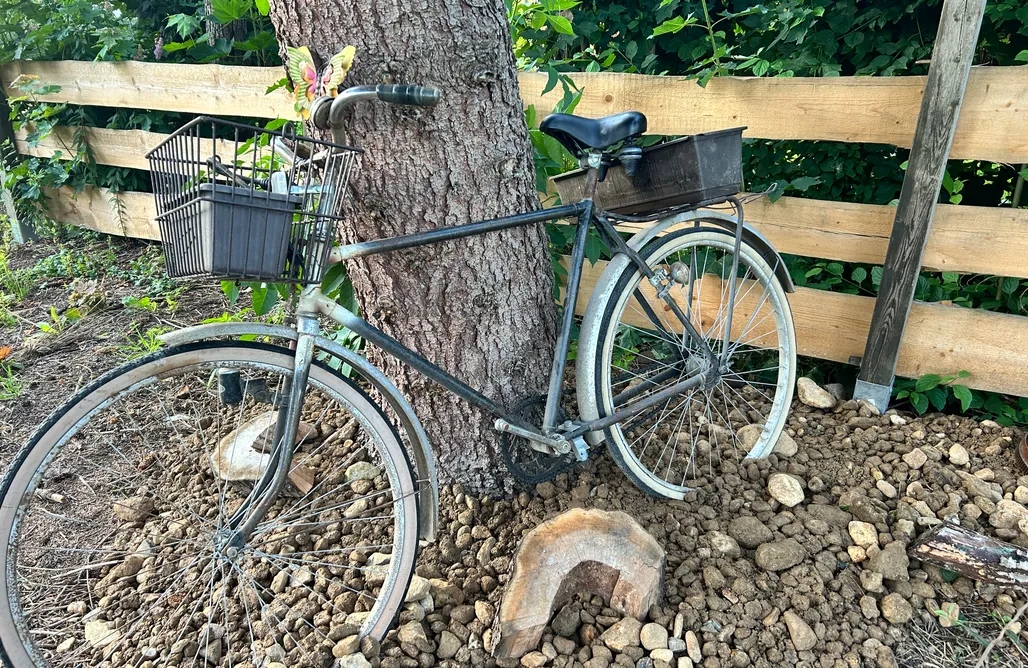 noclegi AlohaCamp Herbert's Naturlodge 1