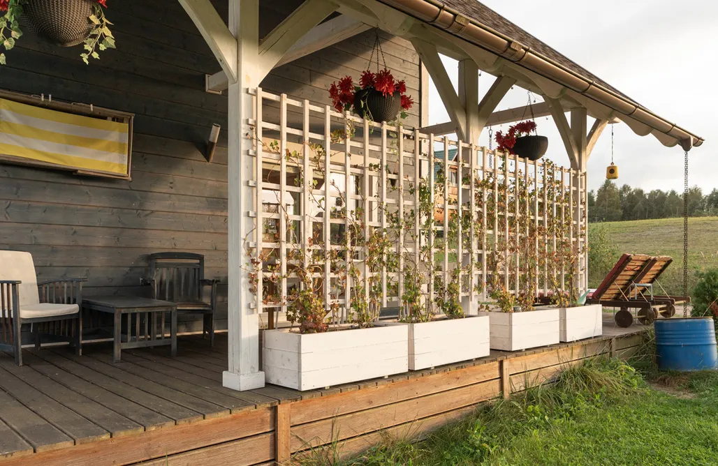 noclegi AlohaCamp Czaplowisko  4