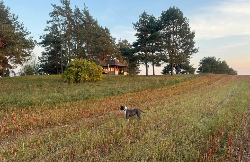 Podwołkuszne noclegi Wietrznie Wichrowe Wzgórze 2