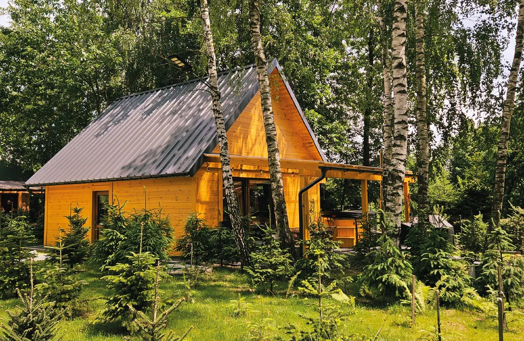 Modryniec noclegi Zatylove domki - Brzozowy 2