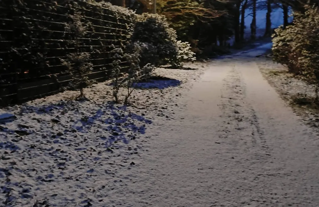 Caban Tan Y Ffawydd AlohaCamp