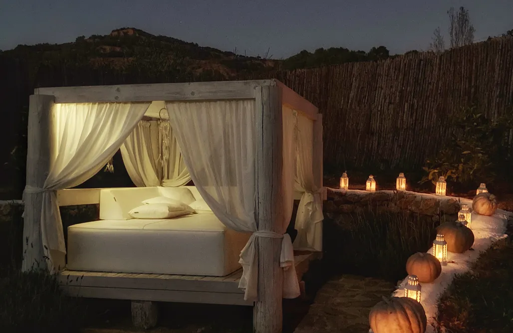 AlohaCamp Domo Honey 1