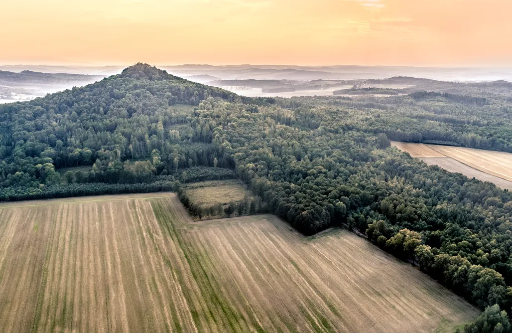 noclegi AlohaCamp Na zielonki 5