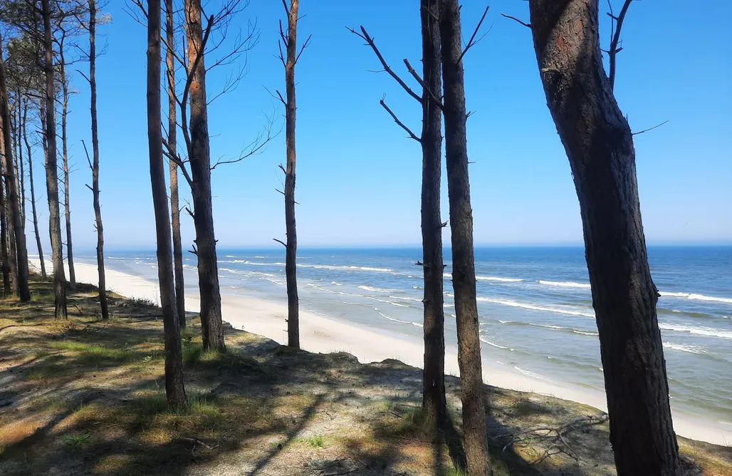Fajne miejsce na wakacje z dzieckiem w Polsce Kite Marina Sarbsk 1