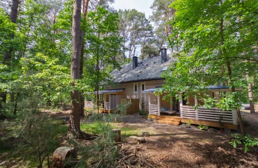 Zdjęcie obiektu Leśne Klimaty 