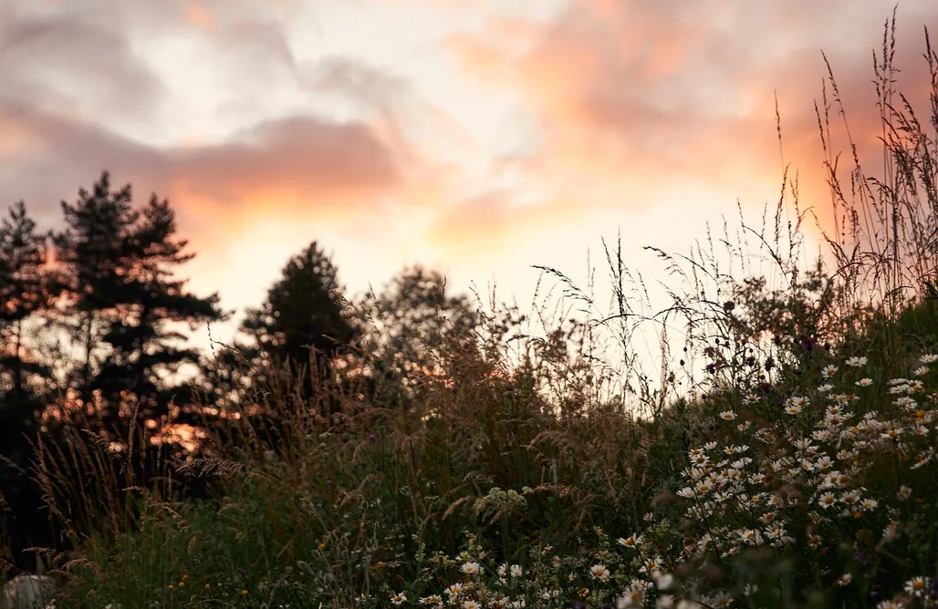 Tanie Noclegi Zakopane Jurta z widokiem na Tatry 1