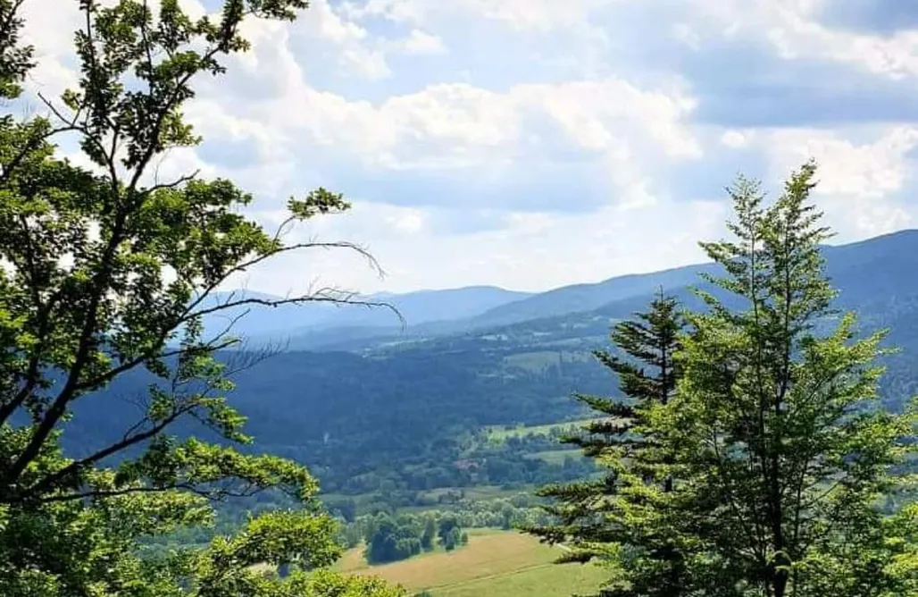 noclegi AlohaCamp Willa Dyniówka  5