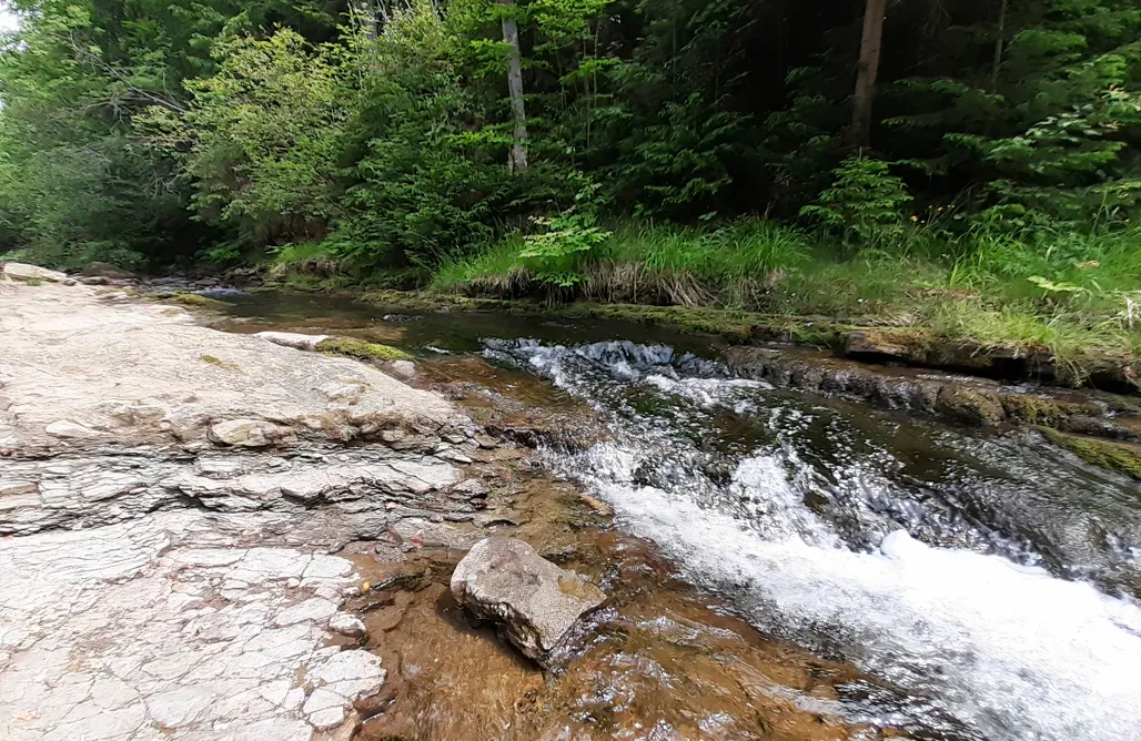 noclegi AlohaCamp Chłopska Chata 5