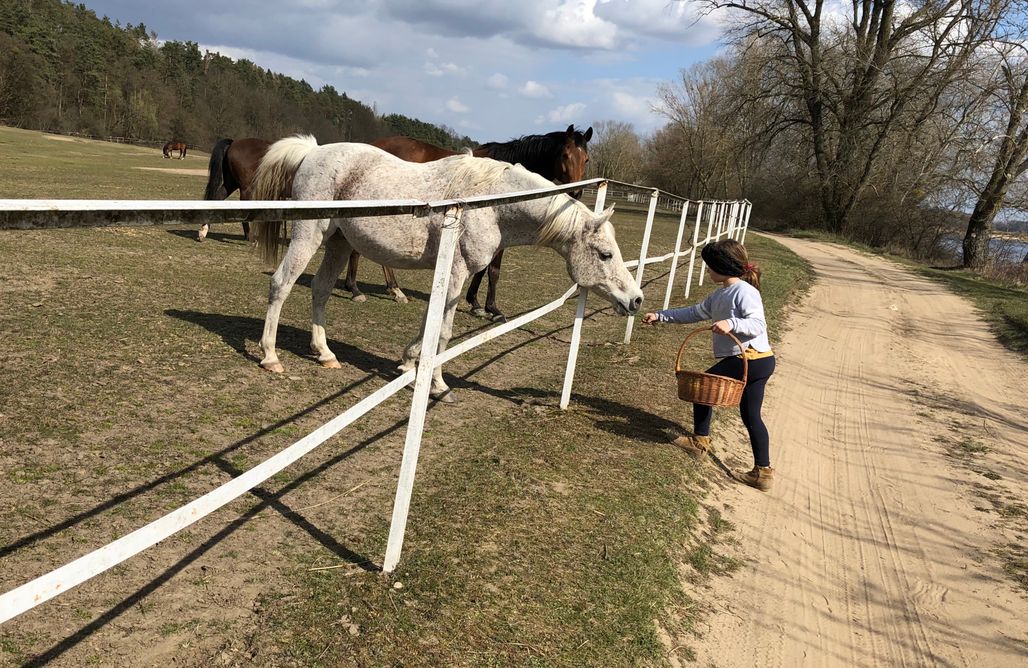 noclegi AlohaCamp Vistula Cabin 1