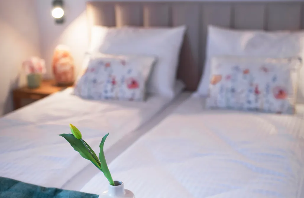 AlohaCamp MICHAŁÓWKA domek w górach przy lesie - Energylandia 2