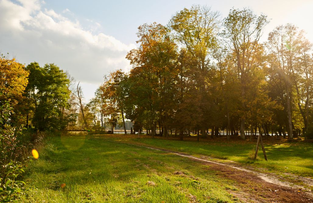 AlohaCamp Miejsce pod namiot 1