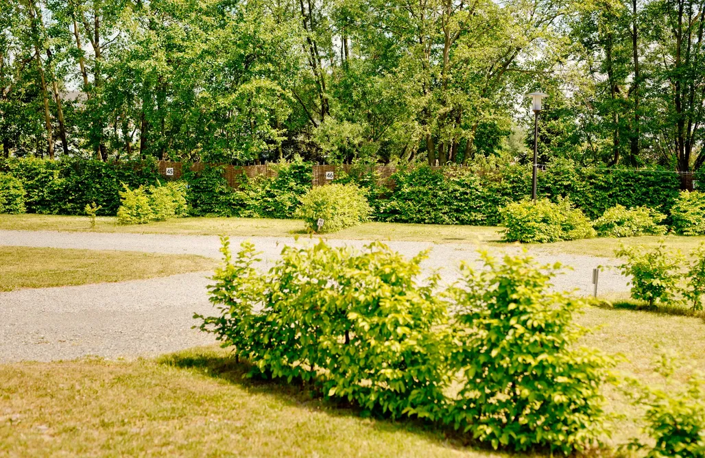 AlohaCamp Miejsce na namiot 1