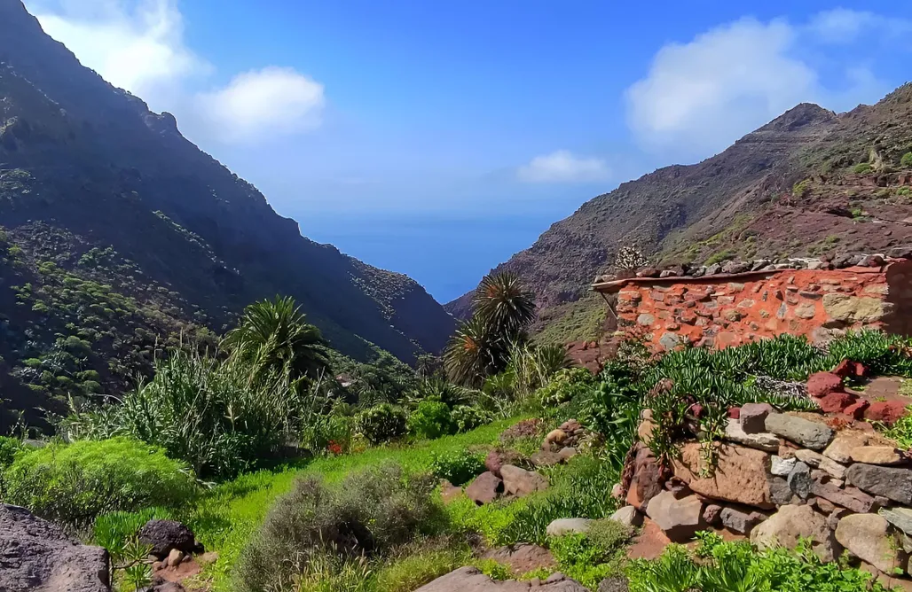 alojamientos AlohaCamp Casita Mil Estrellas  3