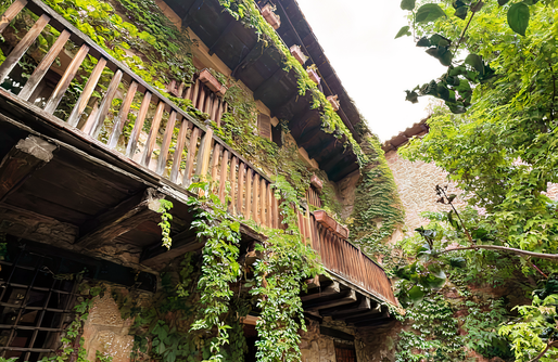 Imagen de La Casa del Bosque