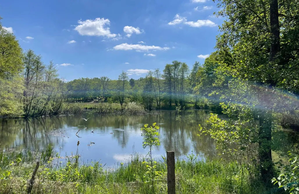 Hütte im Wald mieten Steinhuder Meer Romantische Mühlenkate 3
