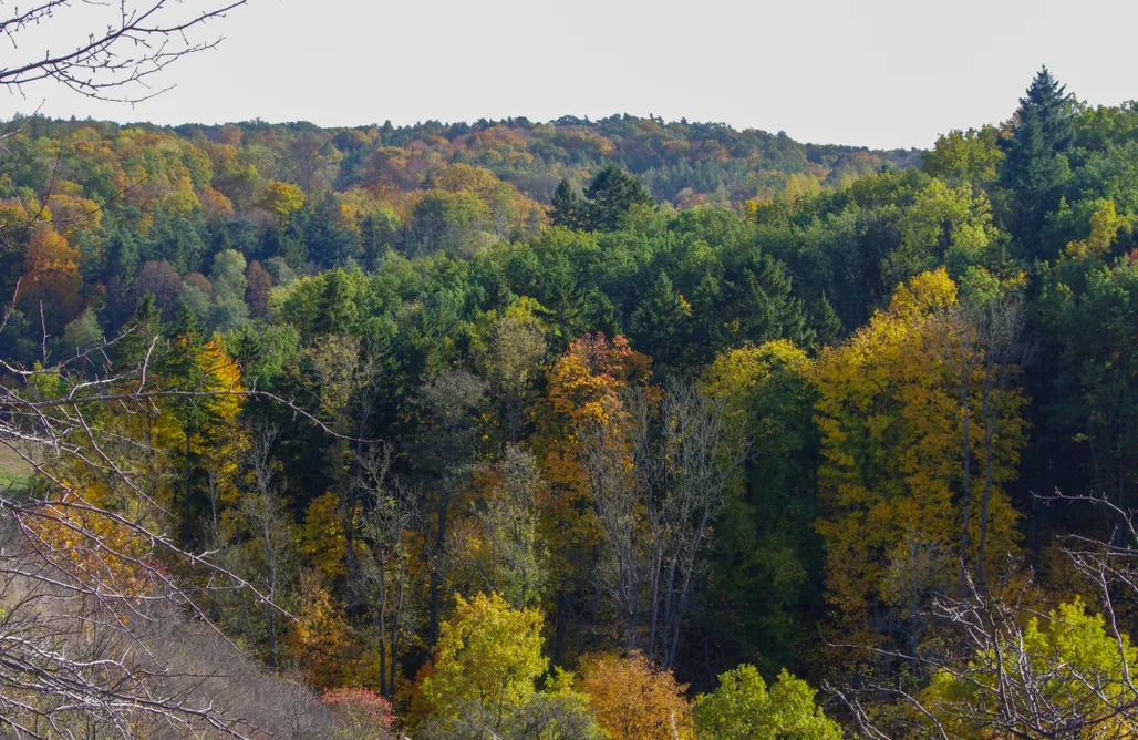 AlohaCamp The hills at river  1