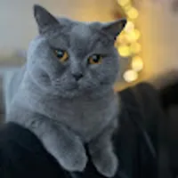 Małgorzata  użytkownik