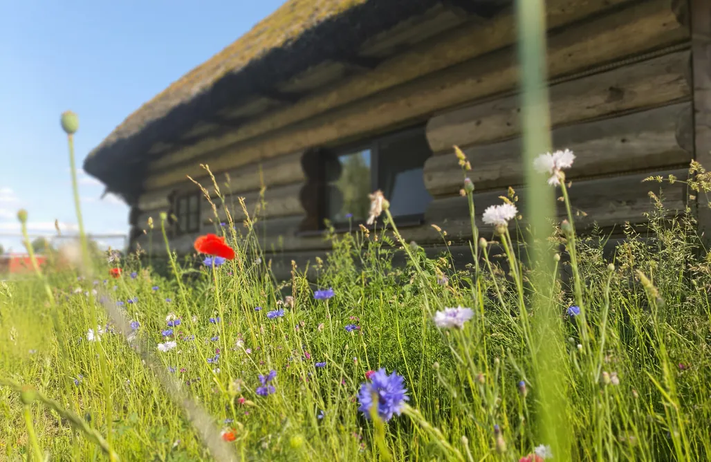 noclegi AlohaCamp Gniazdo w Felicjanowie  1