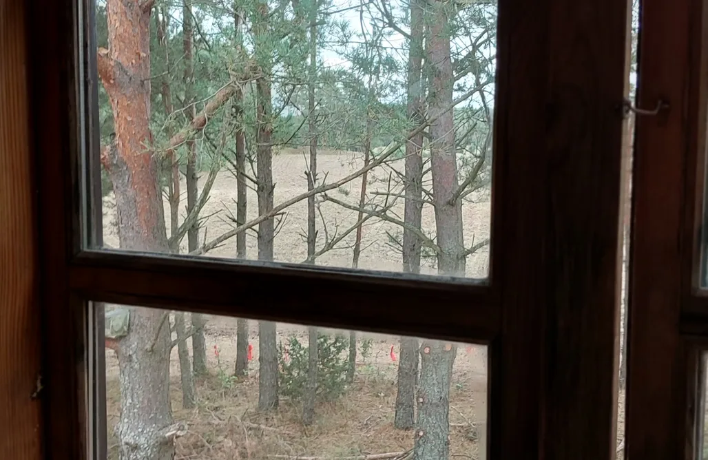 AlohaCamp Leśne Lato 1