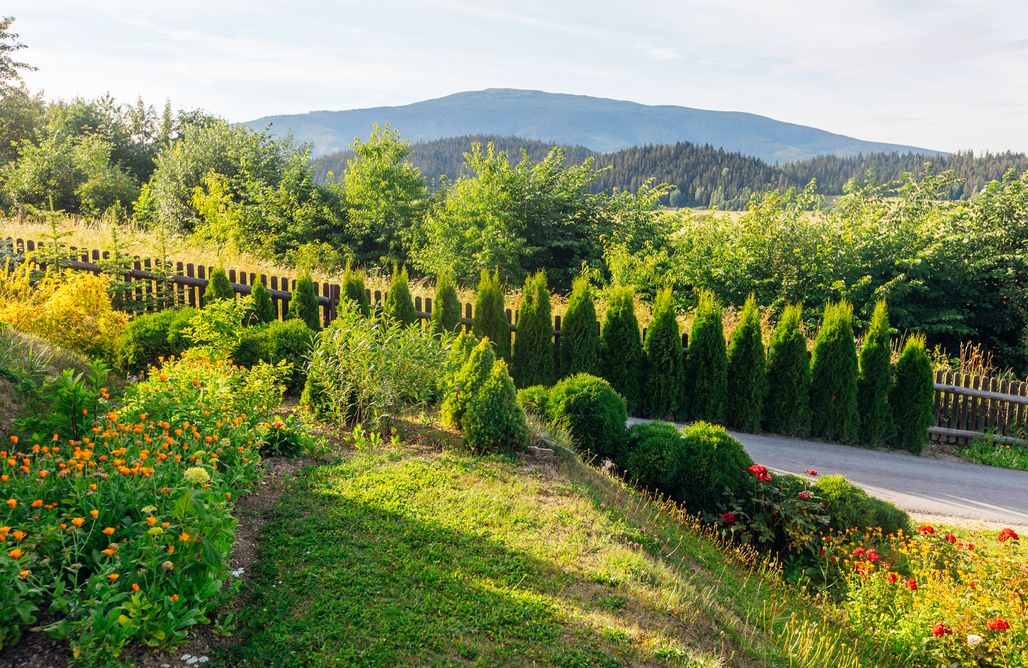 Przystanek Babia Dom AlohaCamp