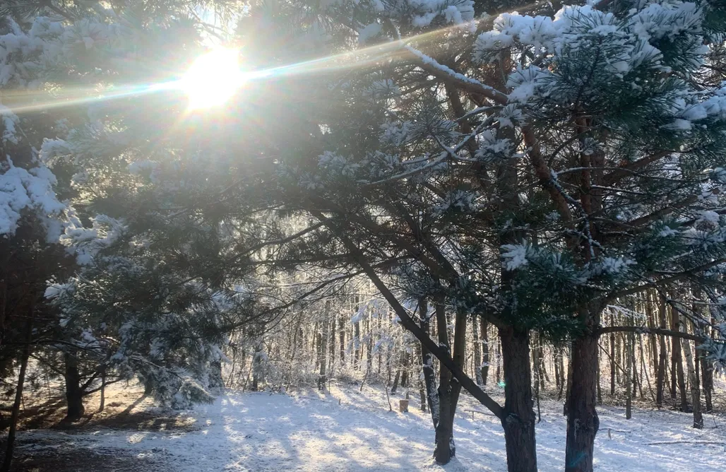noclegi AlohaCamp Domek Wśród Pól z Jacuzzi 1