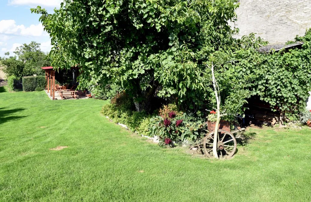 noclegi AlohaCamp Miejsce kamperowe - Winnica Knapów 4