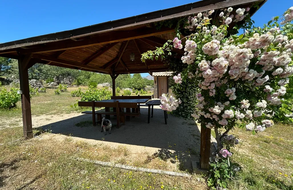 Rural Las Viñas Casa Amarilla AlohaCamp