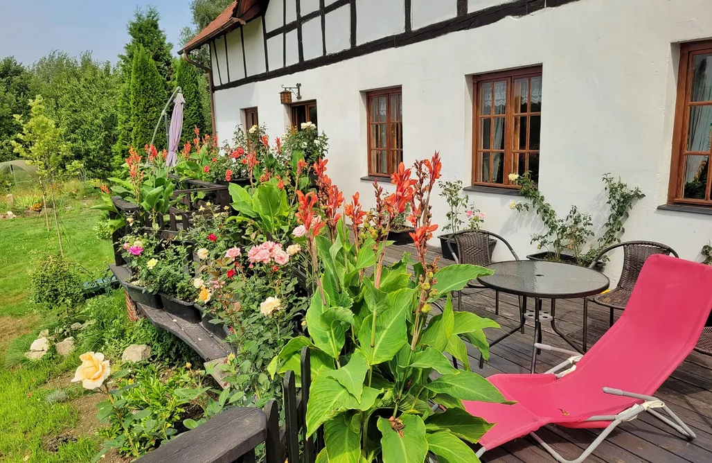 AlohaCamp Cały dom DoWoli 1