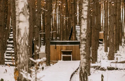 Zdjęcie obiektu Patoki. Dom i las.