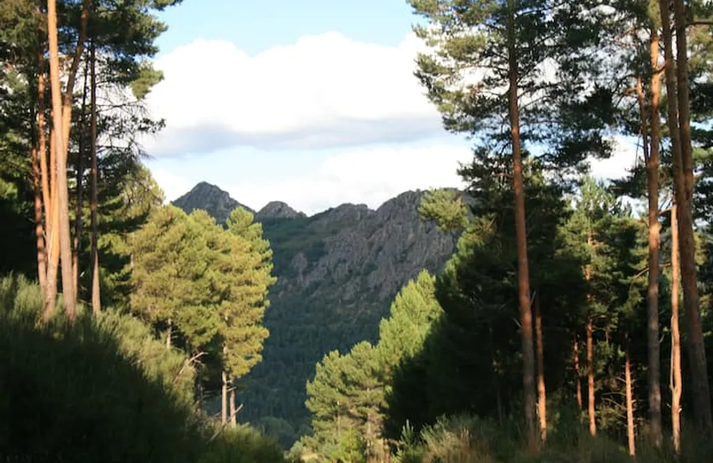 AlohaCamp accommodation Gypsy Truck 1