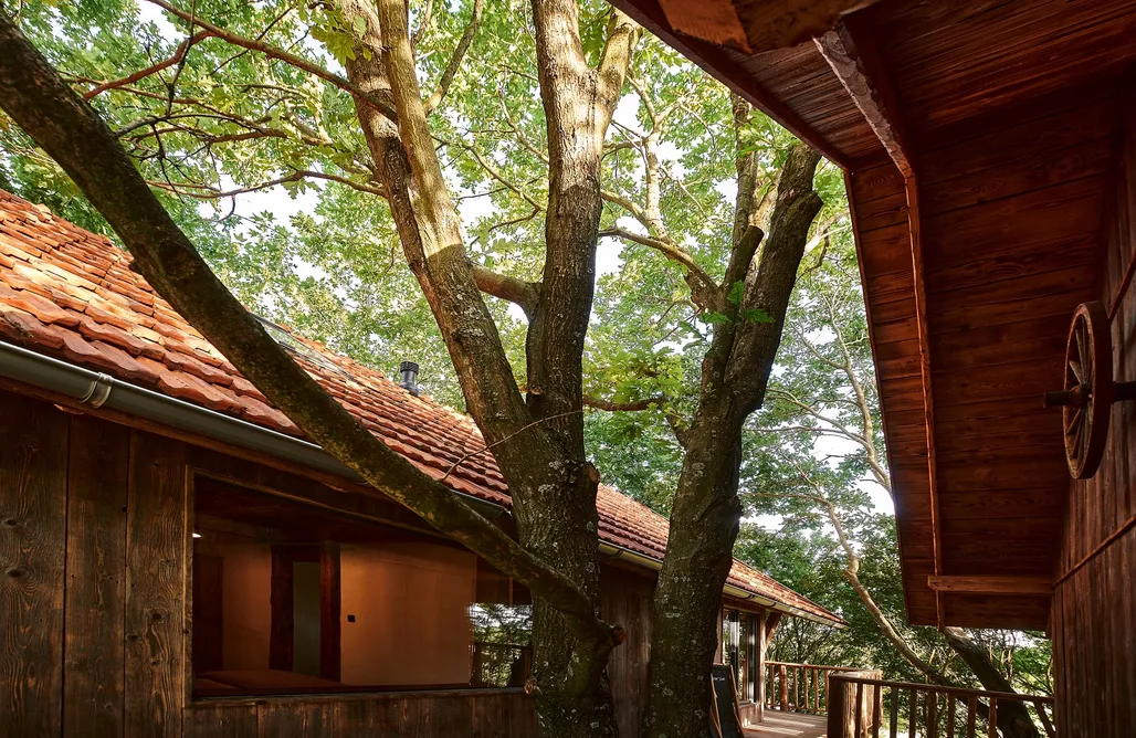 AlohaCamp accommodaties Domy na drzewach - Stara Kuźnia Pstrągownia 1