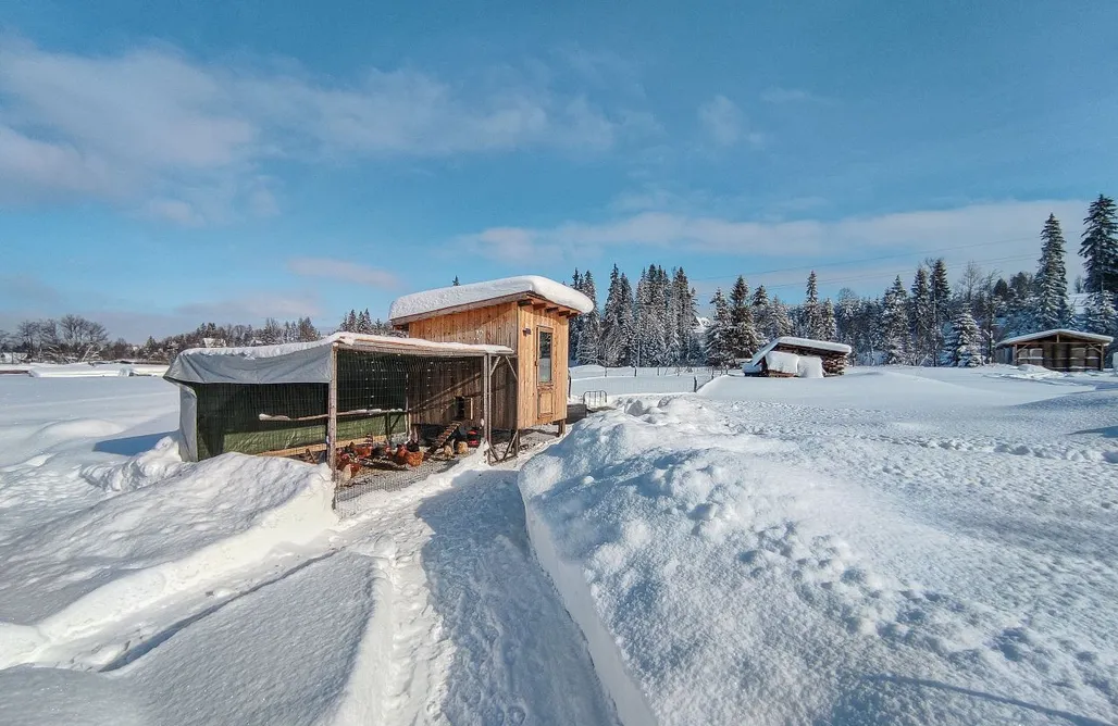 noclegi AlohaCamp Owca za płotem 1