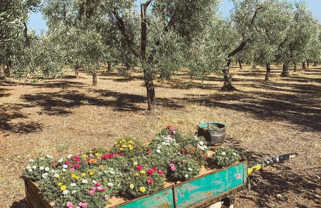 Alloggio AlohaCamp Residence San Luca  - Dog & Family Friendly  1
