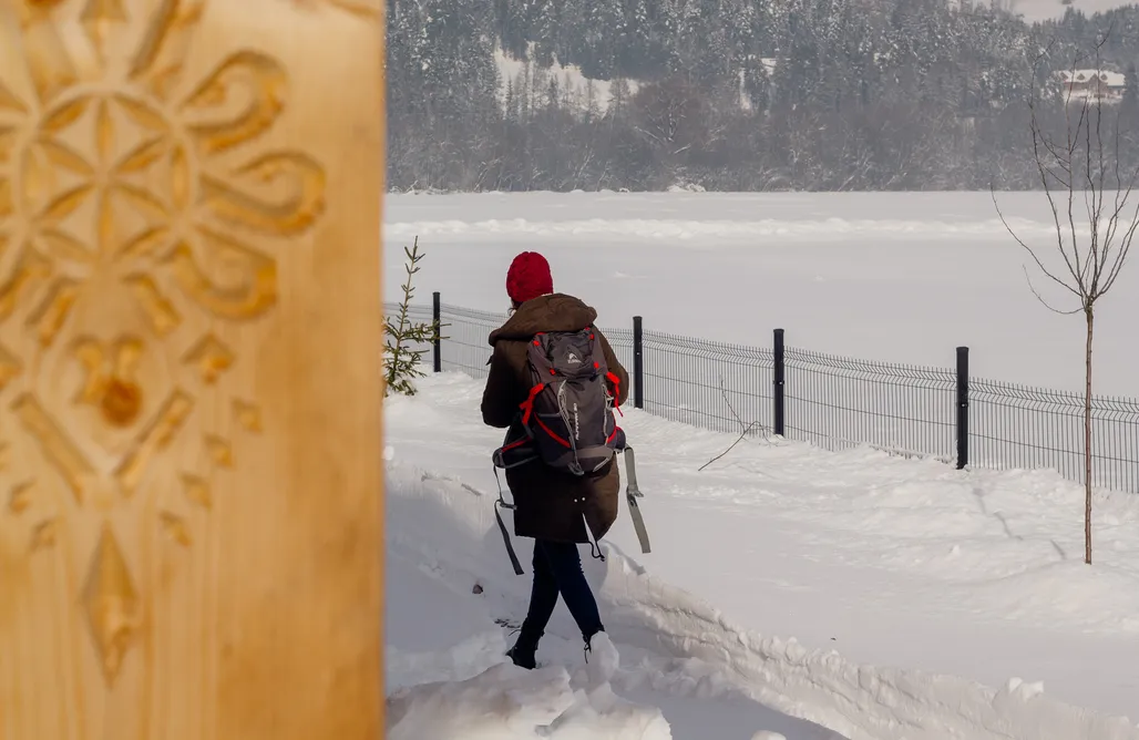 AlohaCamp Domek Sokół 1