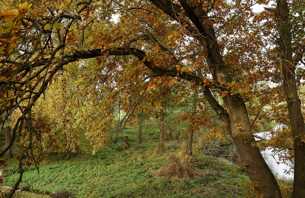 AlohaCamp Baszta nad rozlewiskiem 1
