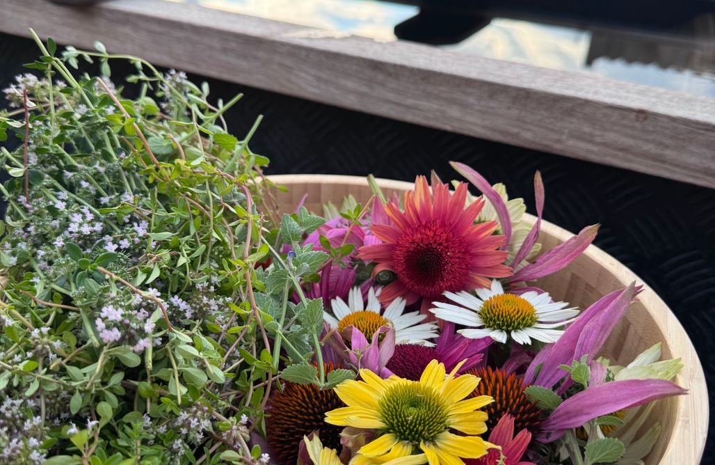 AlohaCamp Domek Woda z kąpielami ziołowymi w wannach ogrodowych  1