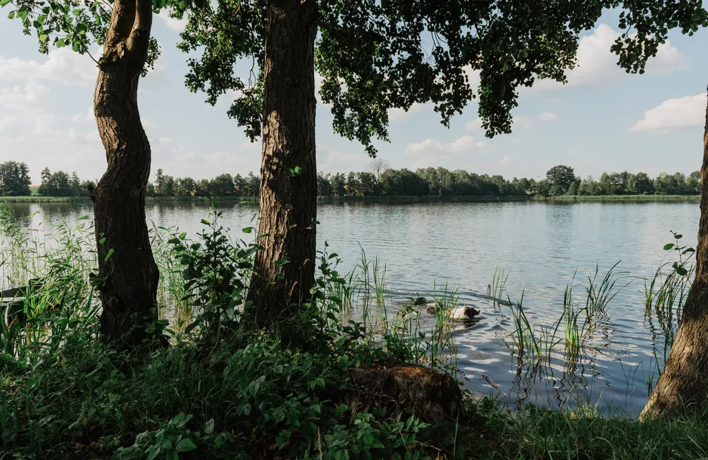 noclegi AlohaCamp AutoSan 4