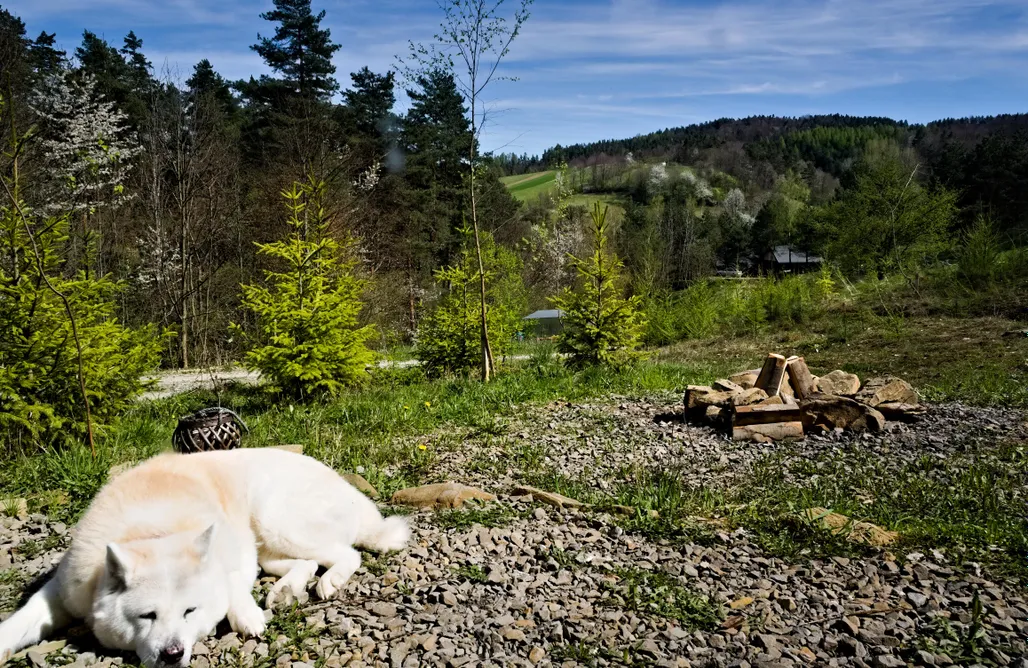 AlohaCamp accommodation Osada Ptosek Bieszczady MIŁOCHATA 1