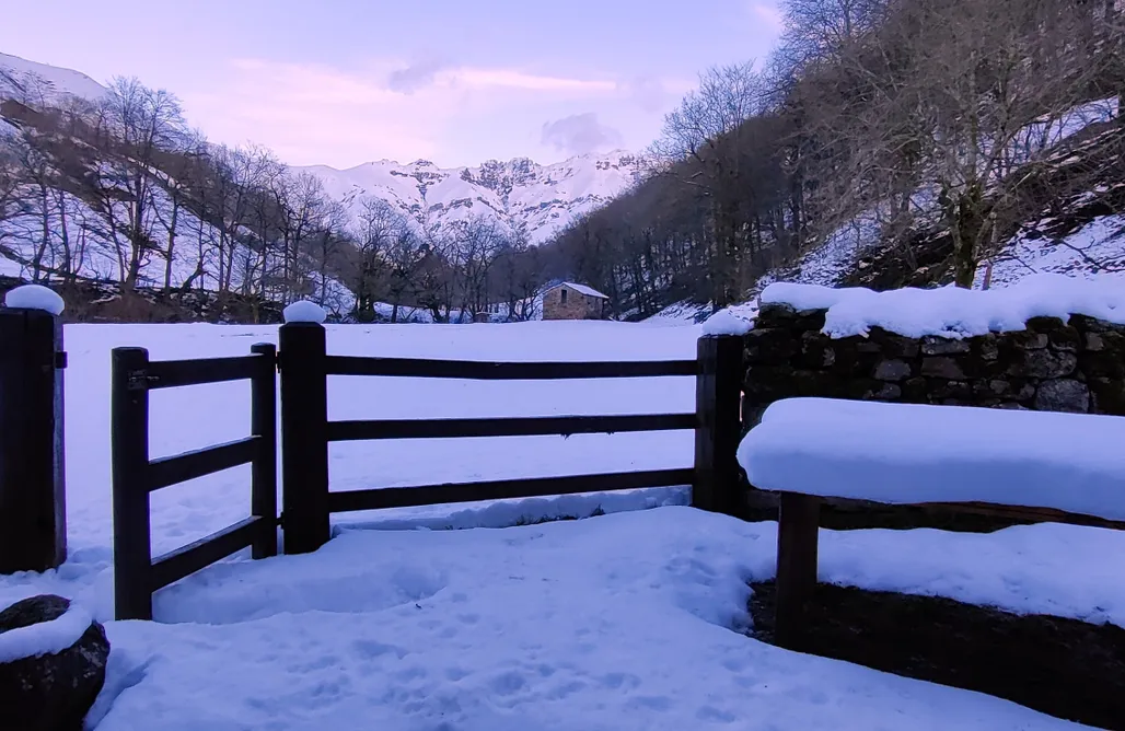 Unterkunft AlohaCamp Pidream Cottage. Cabaña de Pisueña 1