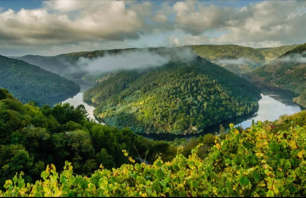 Cabañitas en Galicia Casa de campo Alborada - Ribeira Sacra 3