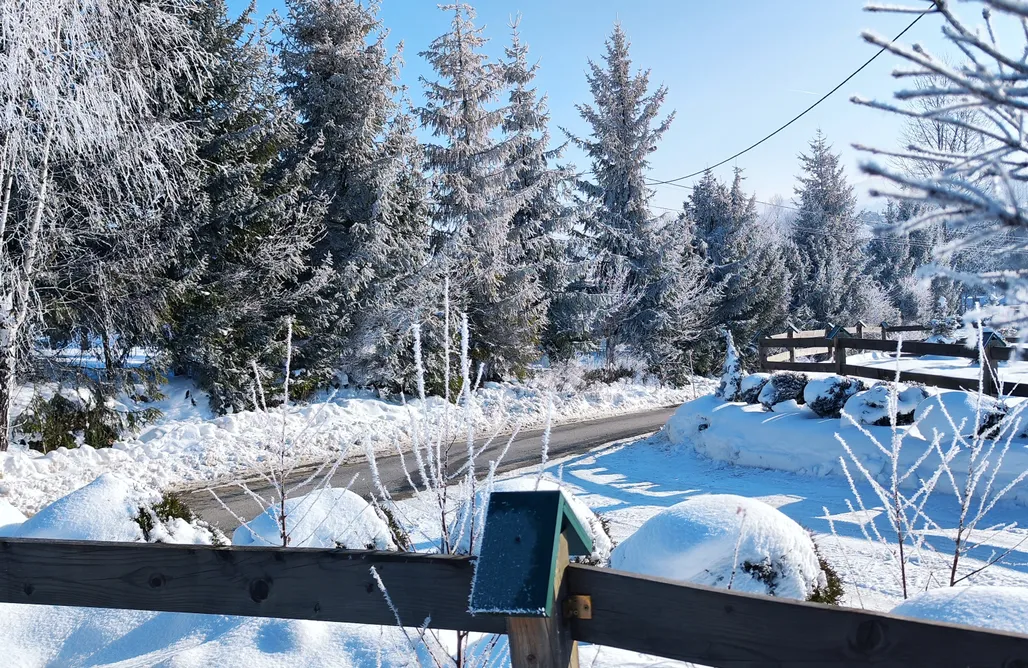 noclegi AlohaCamp Leśna Przystań domki całoroczne 4
