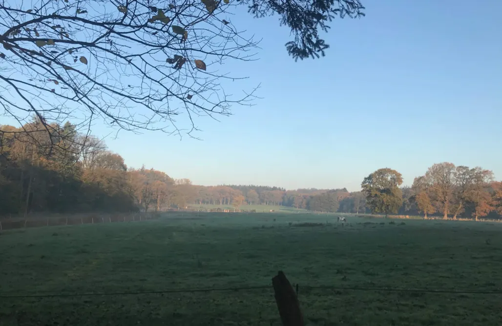 Hébergement AlohaCamp Roulotte au cœur de la nature 1