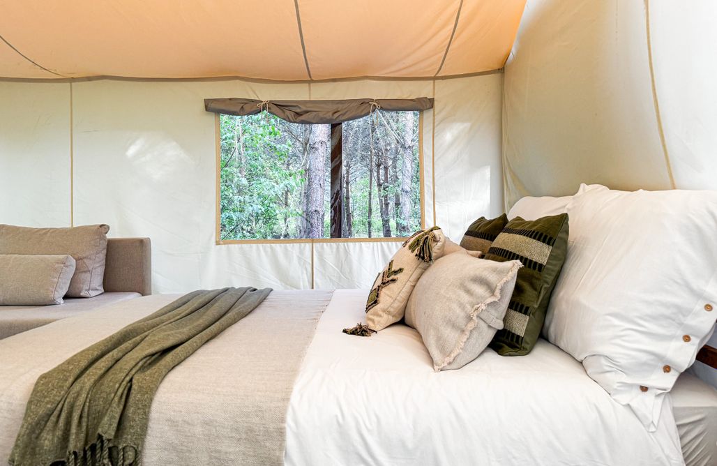 AlohaCamp Yellowstone 4